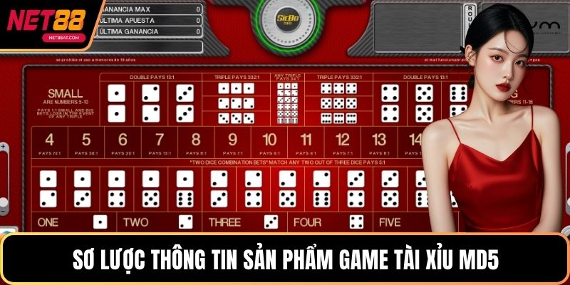 Sơ lược thông tin sản phẩm game Tài xỉu MD5
