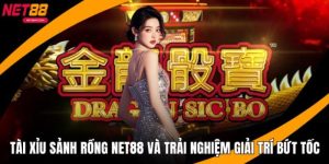 tài xỉu sảnh rồng net88